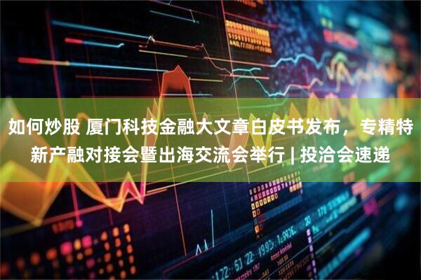 如何炒股 厦门科技金融大文章白皮书发布，专精特新产融对接会暨出海交流会举行 | 投洽会速递